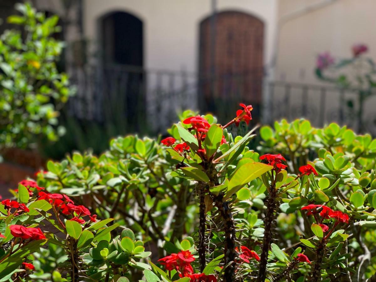 Andros * Taormina